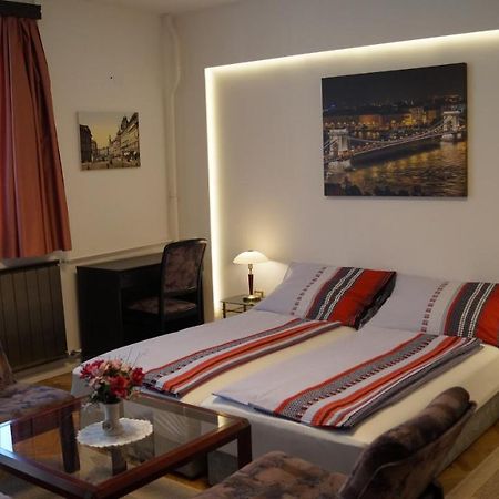 Apartment Sinko - Free Garage Parking, Central, 2 Bedrooms 4 Single Beds, Flexi Check-Out Budapest Kültér fotó